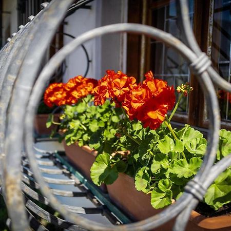 Ferienwohnung Zypresse Merano Eksteriør bilde