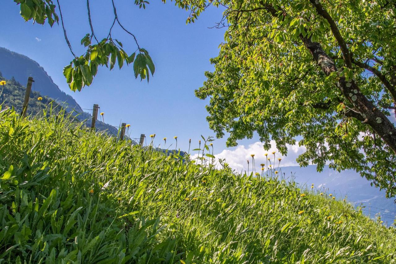 Ferienwohnung Zypresse Merano Eksteriør bilde